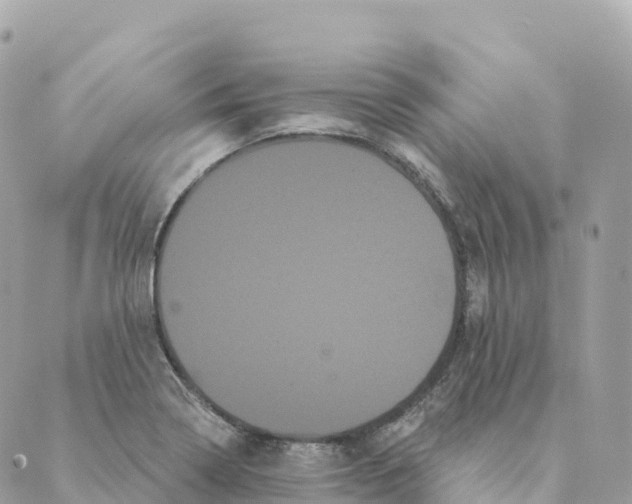 X0000088591322200706221331