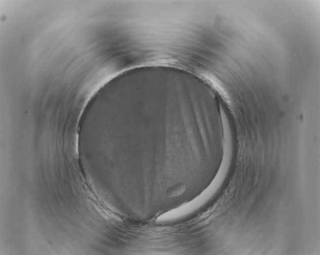 X0000088591324200706221331