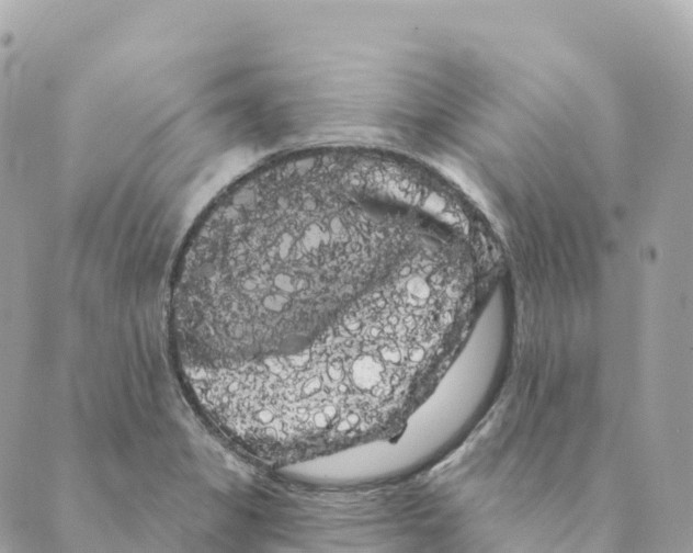 X0000088591325200706221331