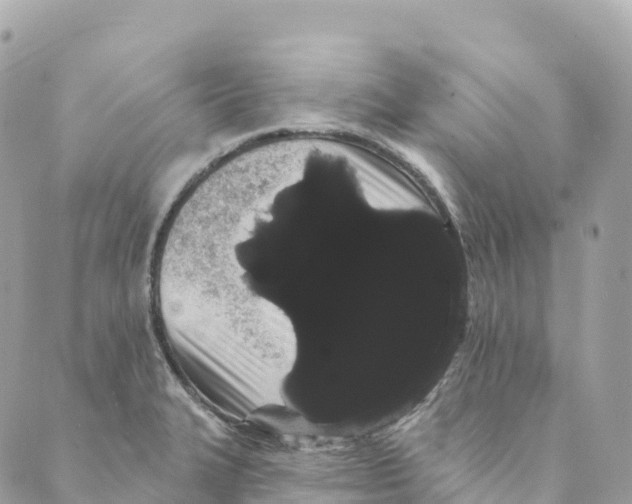 X0000088591327200706221331