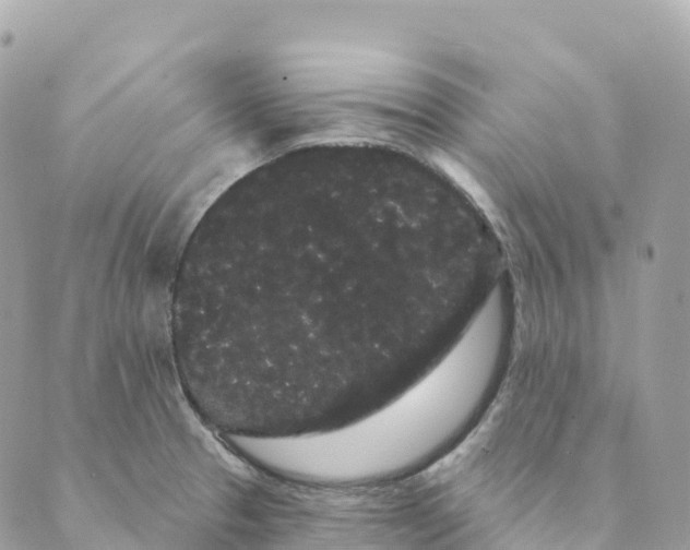 X0000088591329200706221331