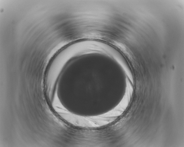 X0000088591331200706221331