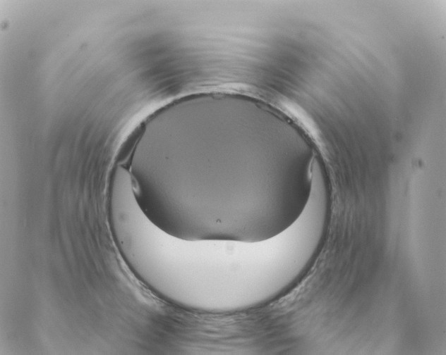 X0000088591332200706221331