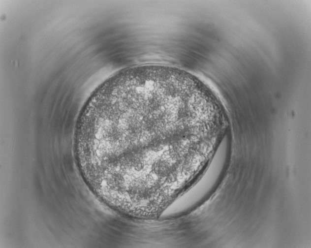 X0000088591333200706221331