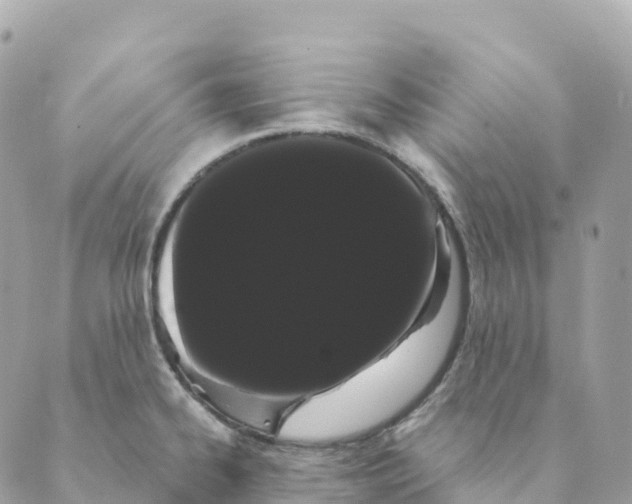 X0000088591334200706221331