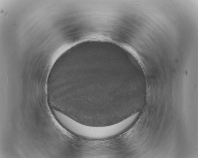 X0000088591335200706221331