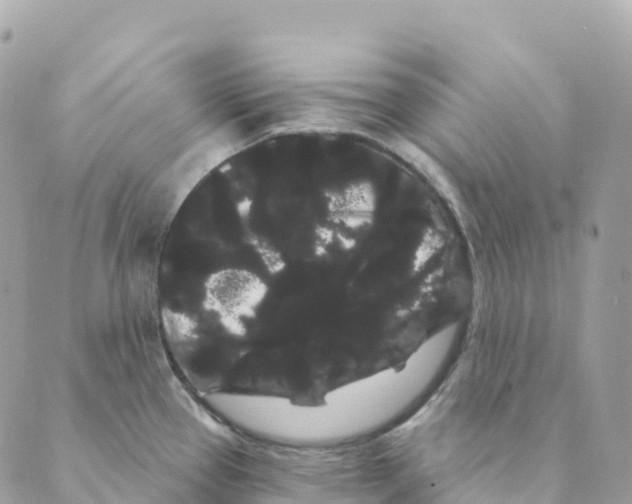 X0000088591337200706221331