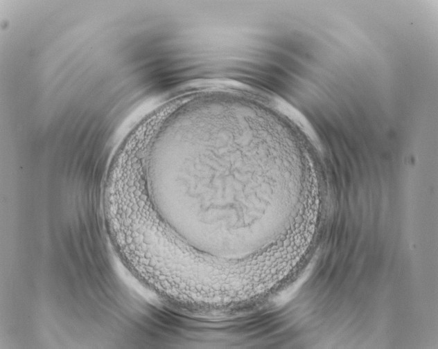 X0000088591338200706221331