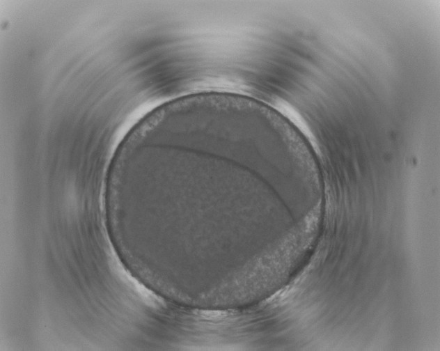 X0000088591339200706221331