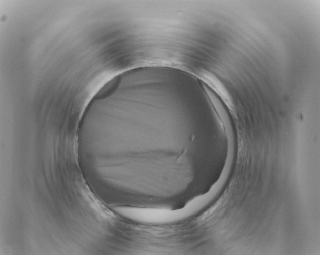 X0000088591340200706221331