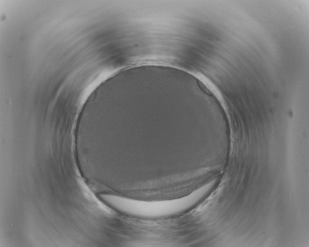 X0000088591341200706221331