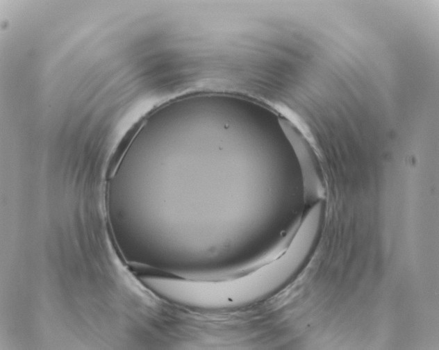 X0000088591342200706221331