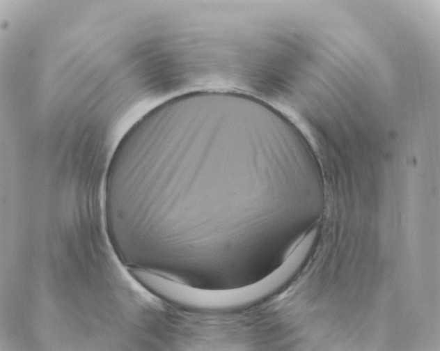 X0000088591343200706221331