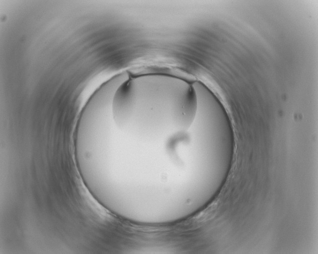 X0000088591344200706221331