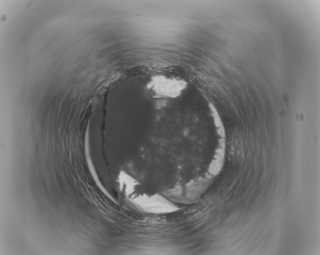 X0000088591346200706221331