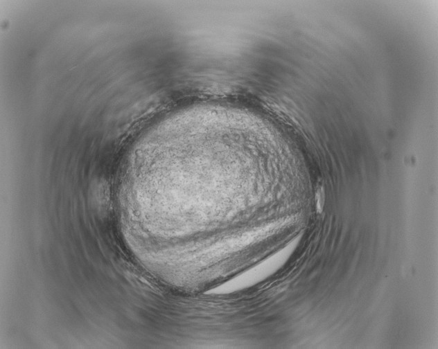 X0000088591347200706221331