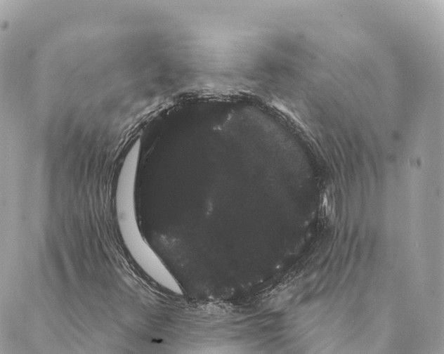 X0000088591348200706221331