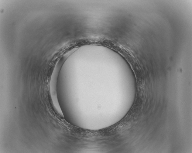 X0000088591349200706221331