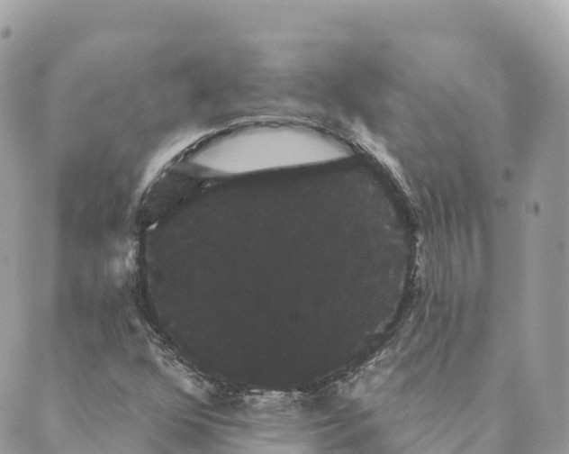 X0000088591352200706221331