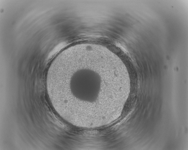 X0000088591354200706221331