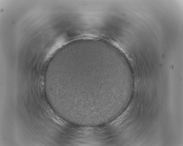 X0000088591355200706221331