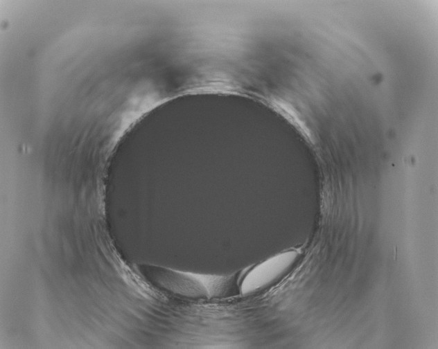 X0000088591356200706221331