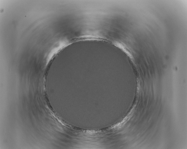 X0000088591357200706221331