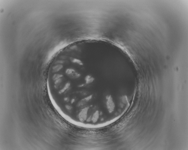 X0000088591359200706221330