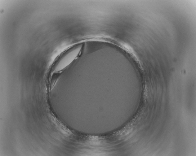 X0000088591360200706221330