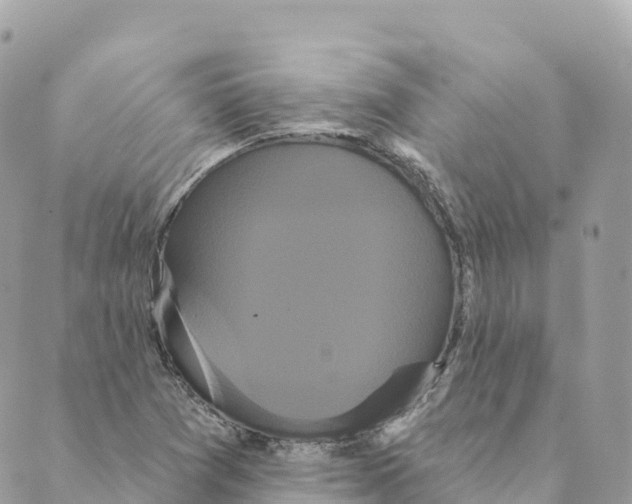 X0000088591361200706221330