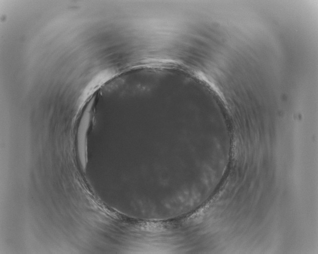 X0000088591362200706221330