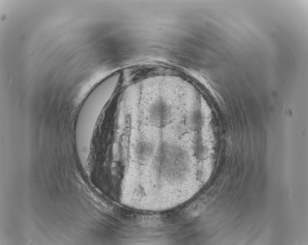 X0000088591363200706221330