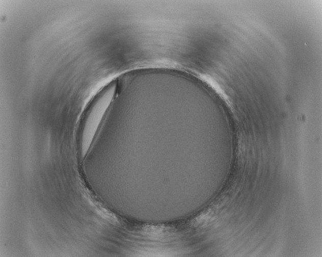 X0000088591364200706221330