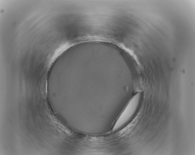 X0000088591365200706221330