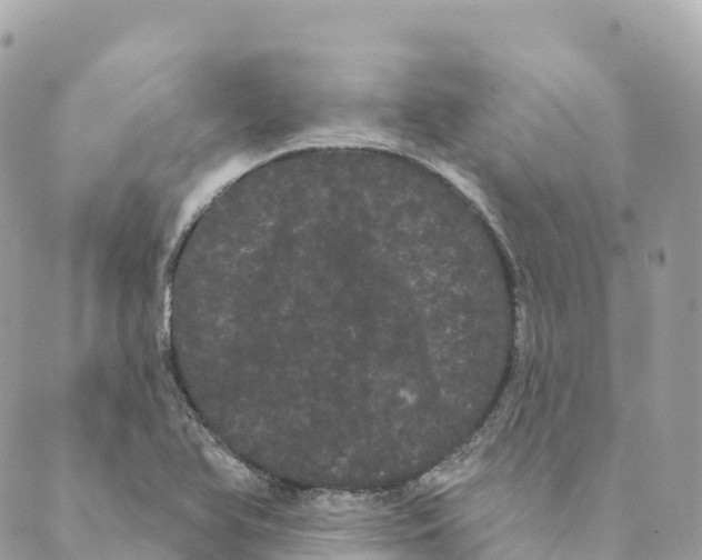 X0000088591366200706221330