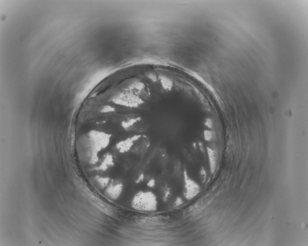 X0000088591367200706221330