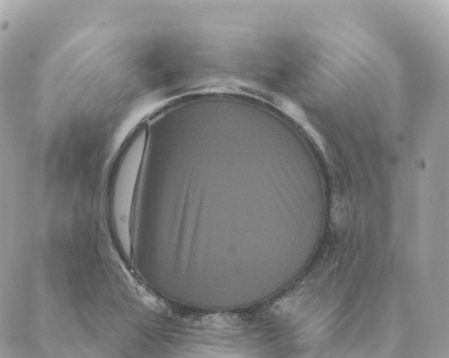 X0000088591368200706221330