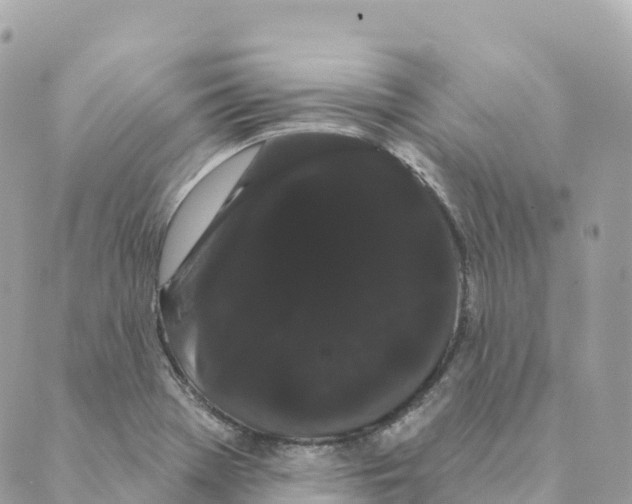 X0000088591369200706221330