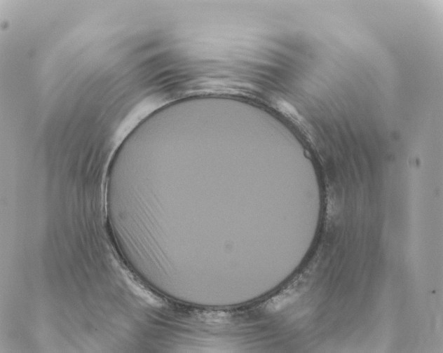 X0000088591370200706221330