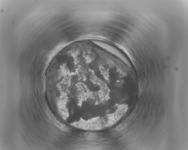 X0000088591371200706221330