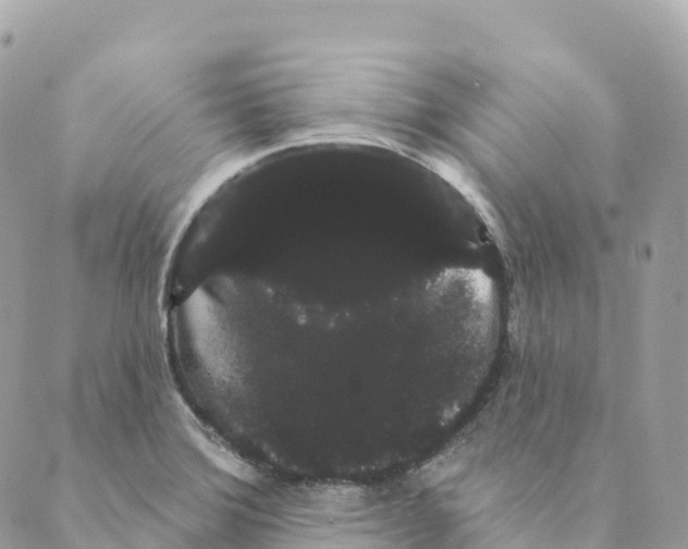 X0000088591372200706221330