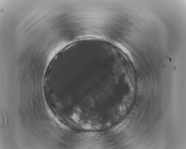 X0000088591373200706221330