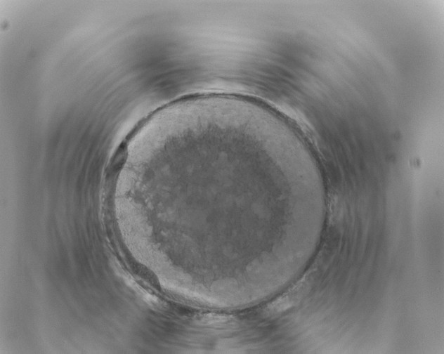 X0000088591374200706221330