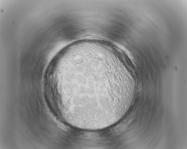 X0000088591375200706221330