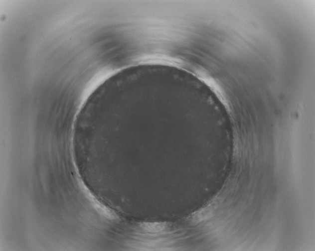 X0000088591376200706221330