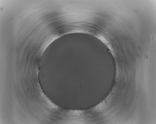 X0000088591377200706221330