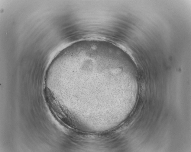 X0000088591379200706221330