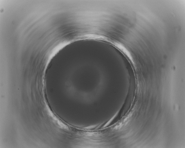 X0000088591381200706221330