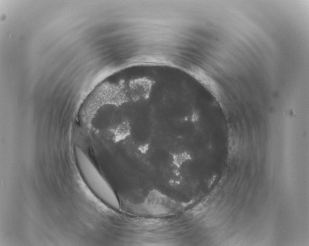 X0000088591382200706221330