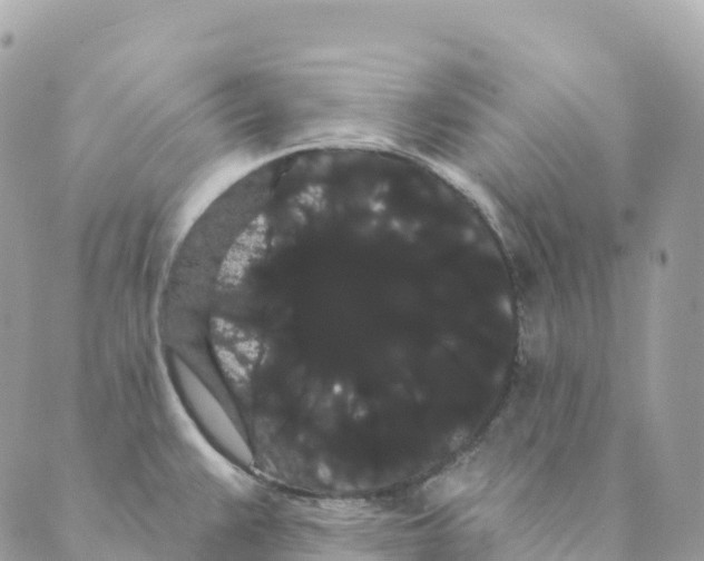 X0000088591383200706221330